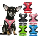 Coleira Cachorro Cães Gatos Animal Peitoral Caes Guia Colete Azul P